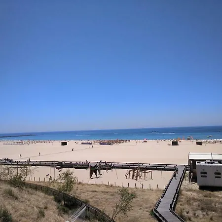 Sun Sight * بورتيماو