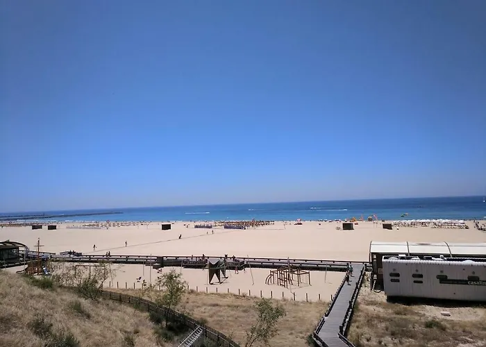 Sun Sight * بورتيماو